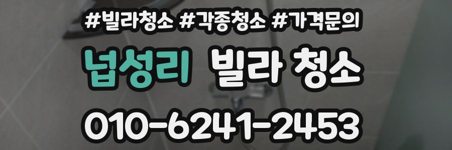 넙성리 빌라 청소