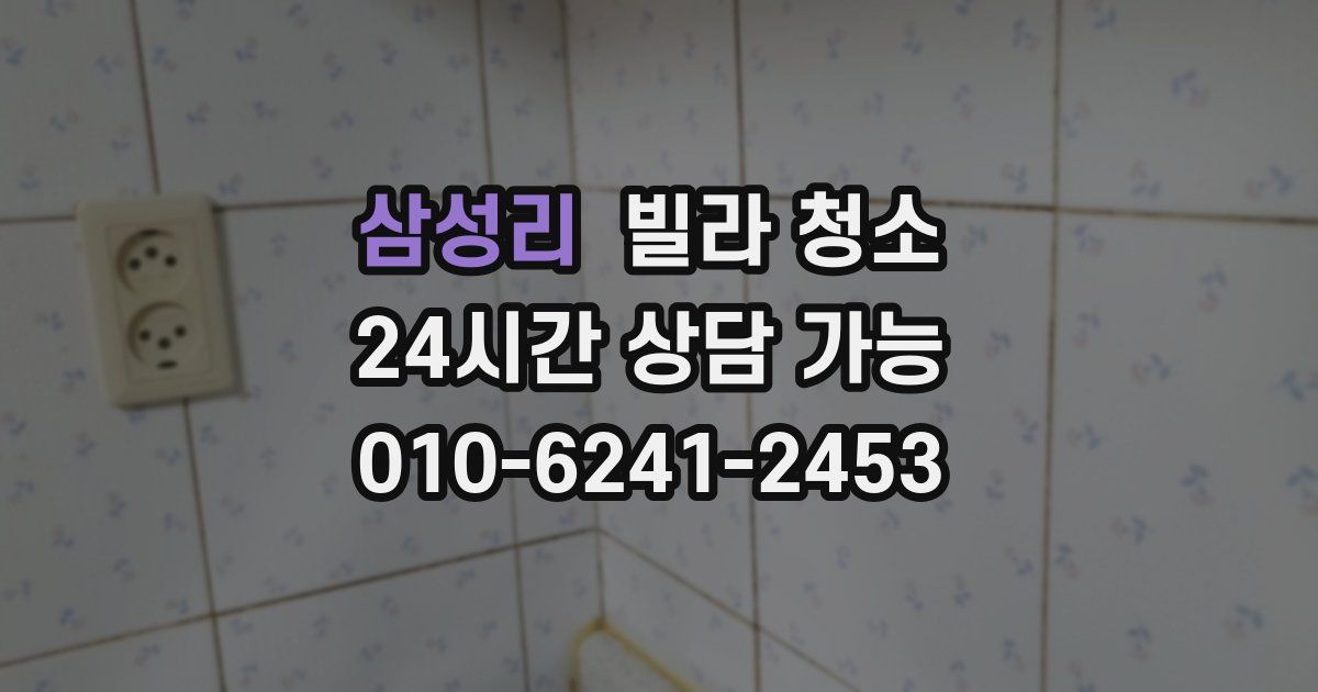 삼성리 빌라 청소