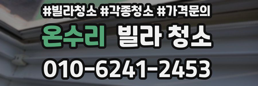 온수리 빌라 청소
