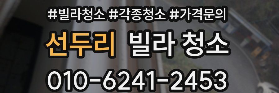 선두리 빌라 청소