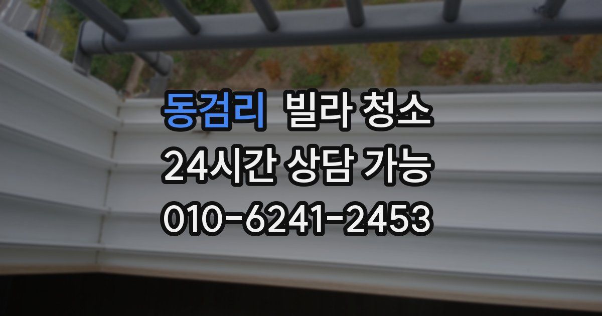 동검리 빌라 청소