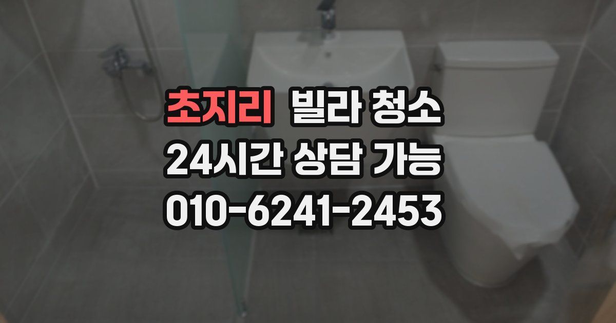 초지리 빌라 청소