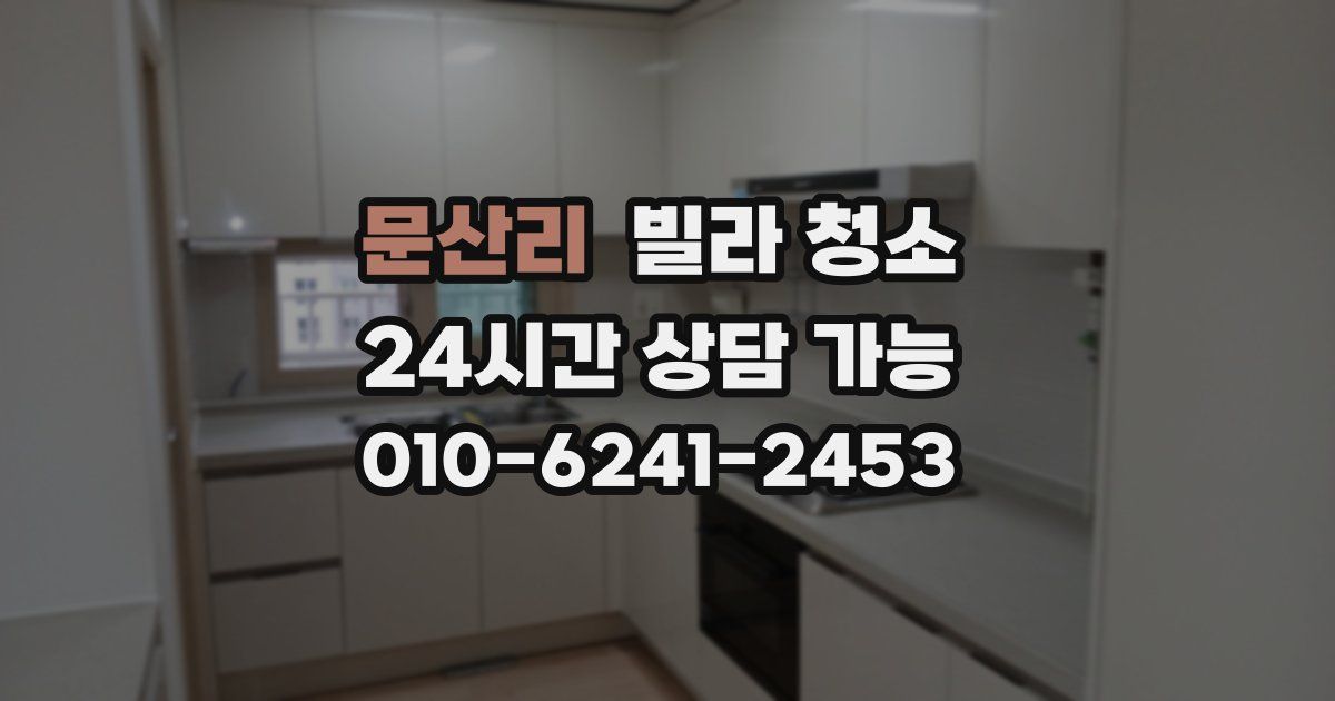 문산리 빌라 청소