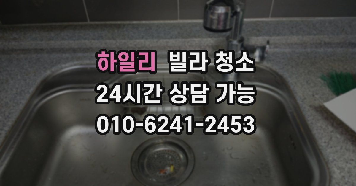 하일리 빌라 청소