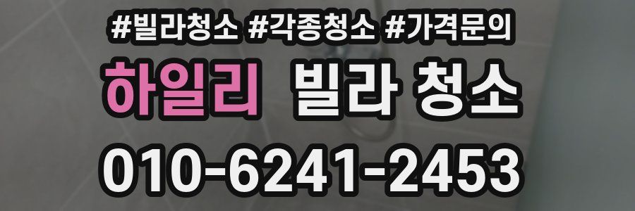 하일리 빌라 청소