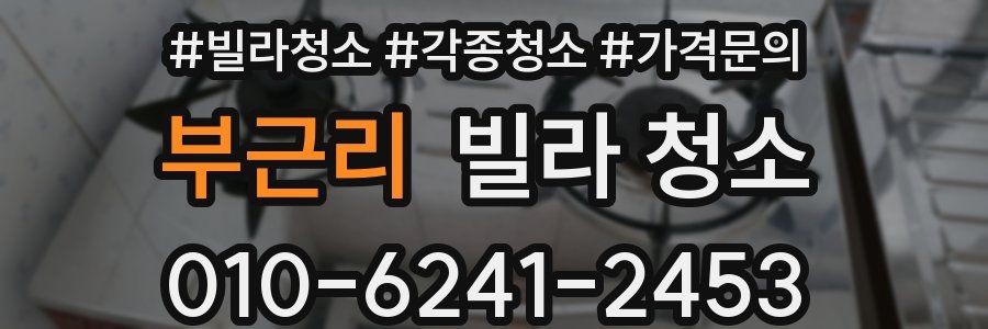 부근리 빌라 청소