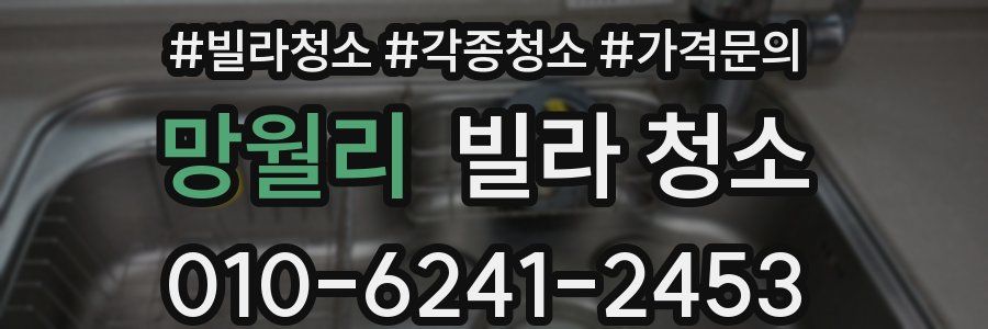 망월리 빌라 청소