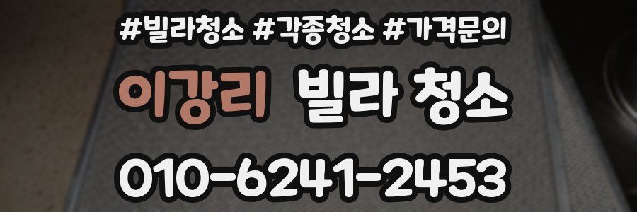 이강리 빌라 청소