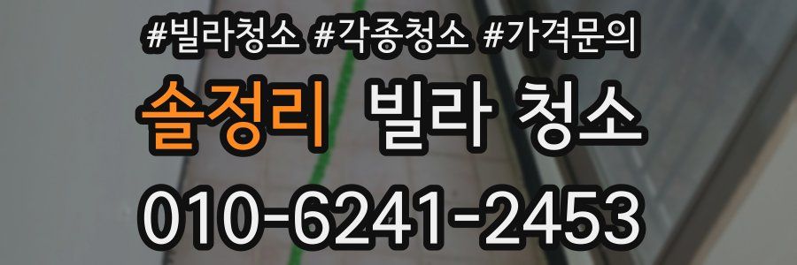 솔정리 빌라 청소
