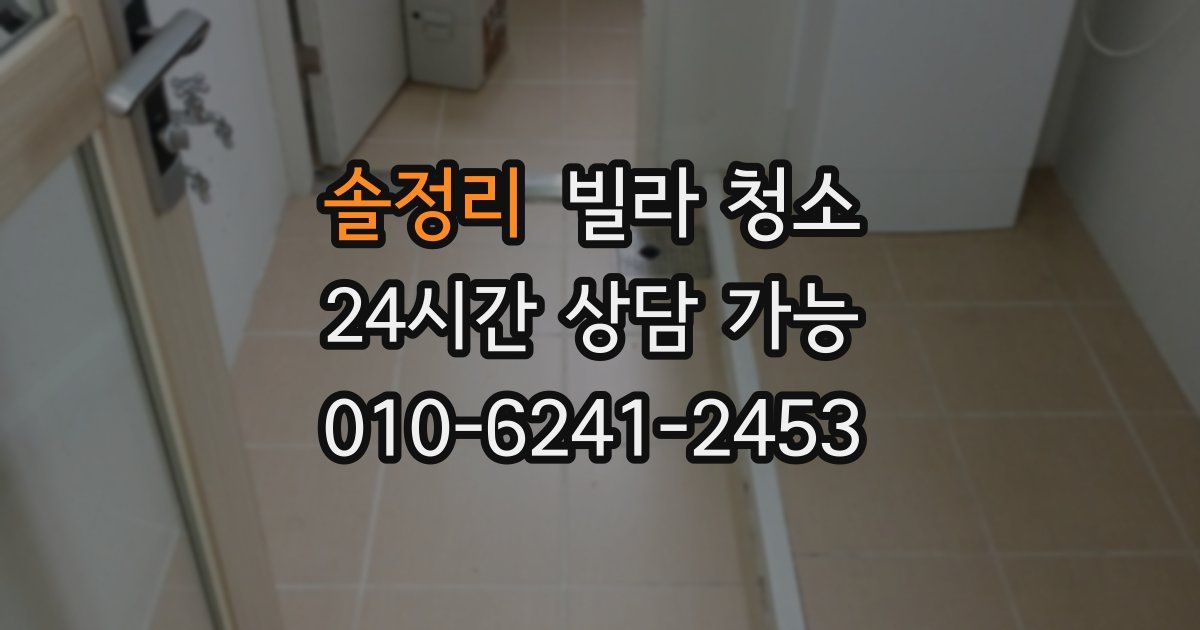 솔정리 빌라 청소