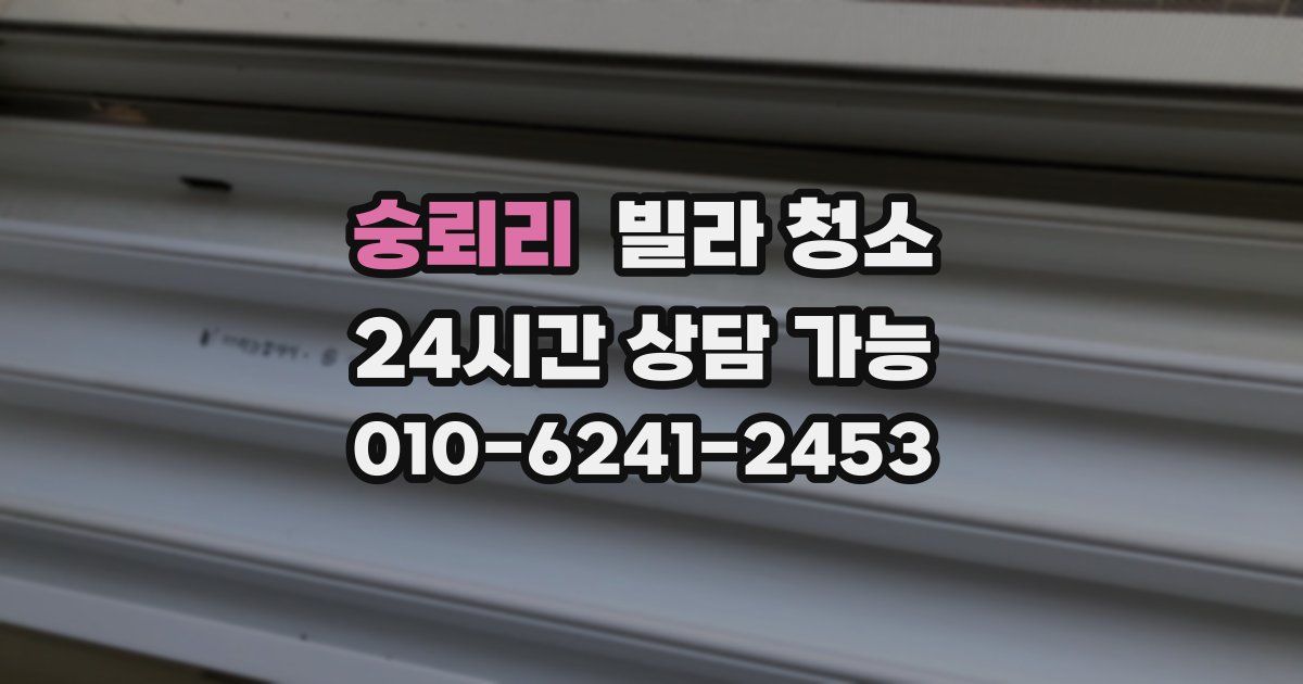 숭뢰리 빌라 청소