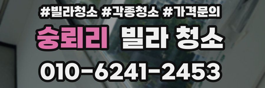 숭뢰리 빌라 청소