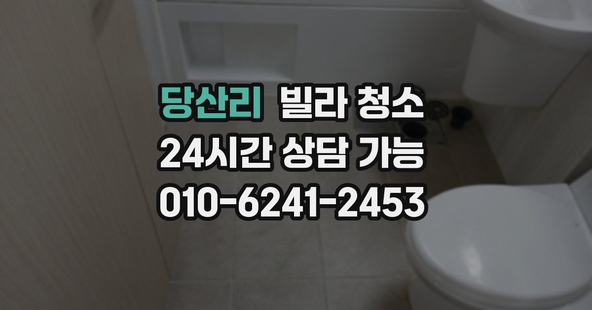 당산리 빌라 청소