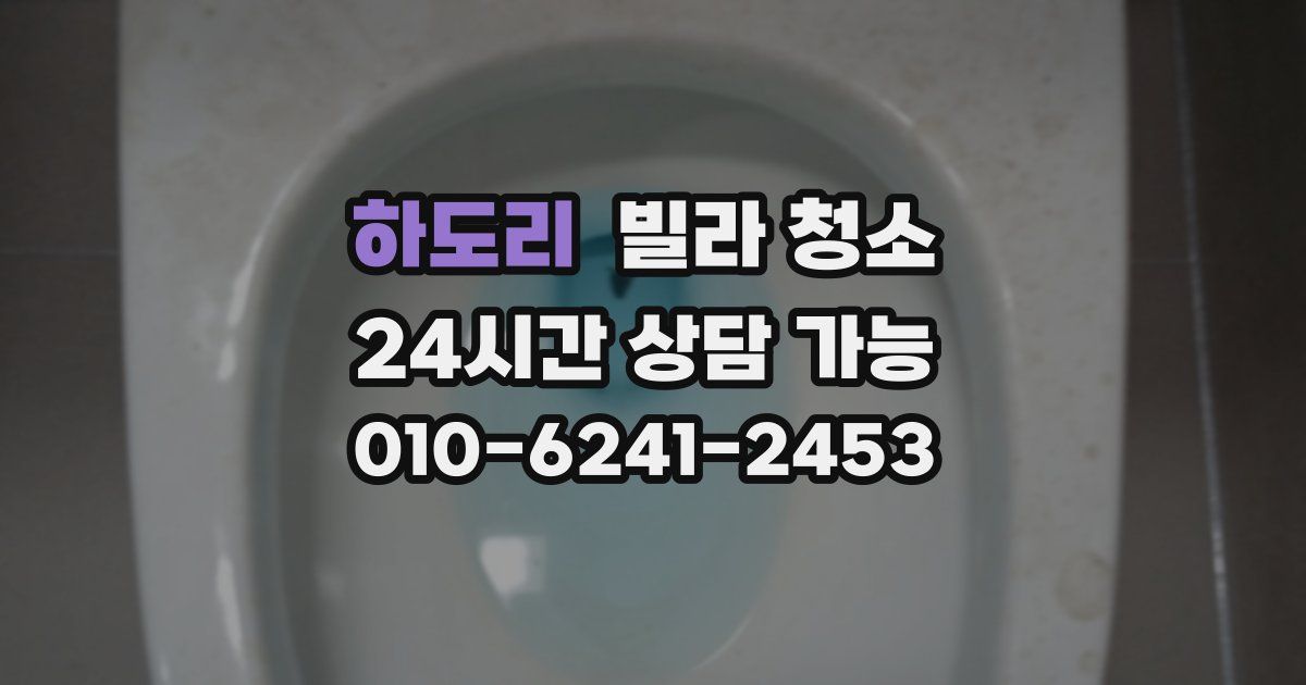 하도리 빌라 청소