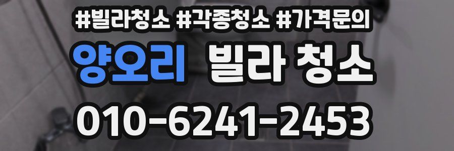 양오리 빌라 청소