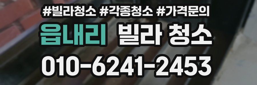 읍내리 빌라 청소