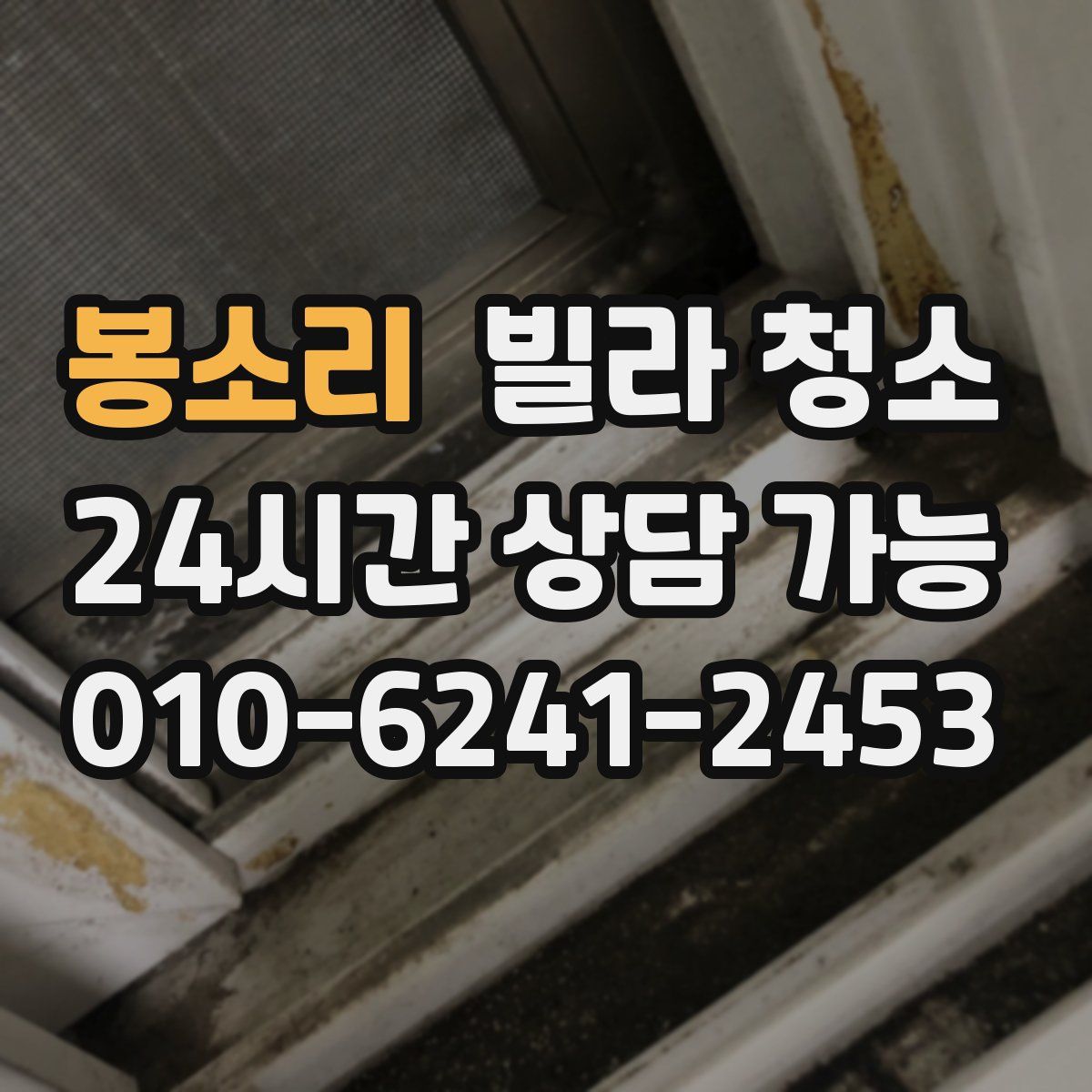 봉소리 빌라 청소