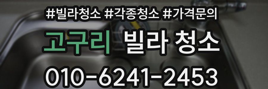 고구리 빌라 청소