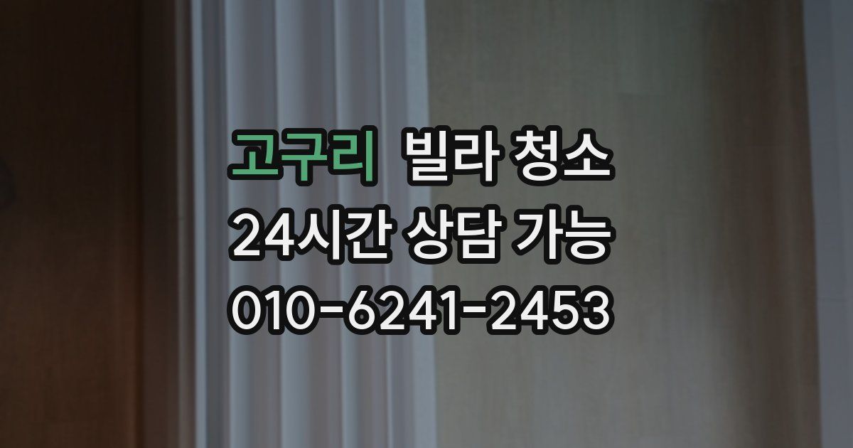 고구리 빌라 청소