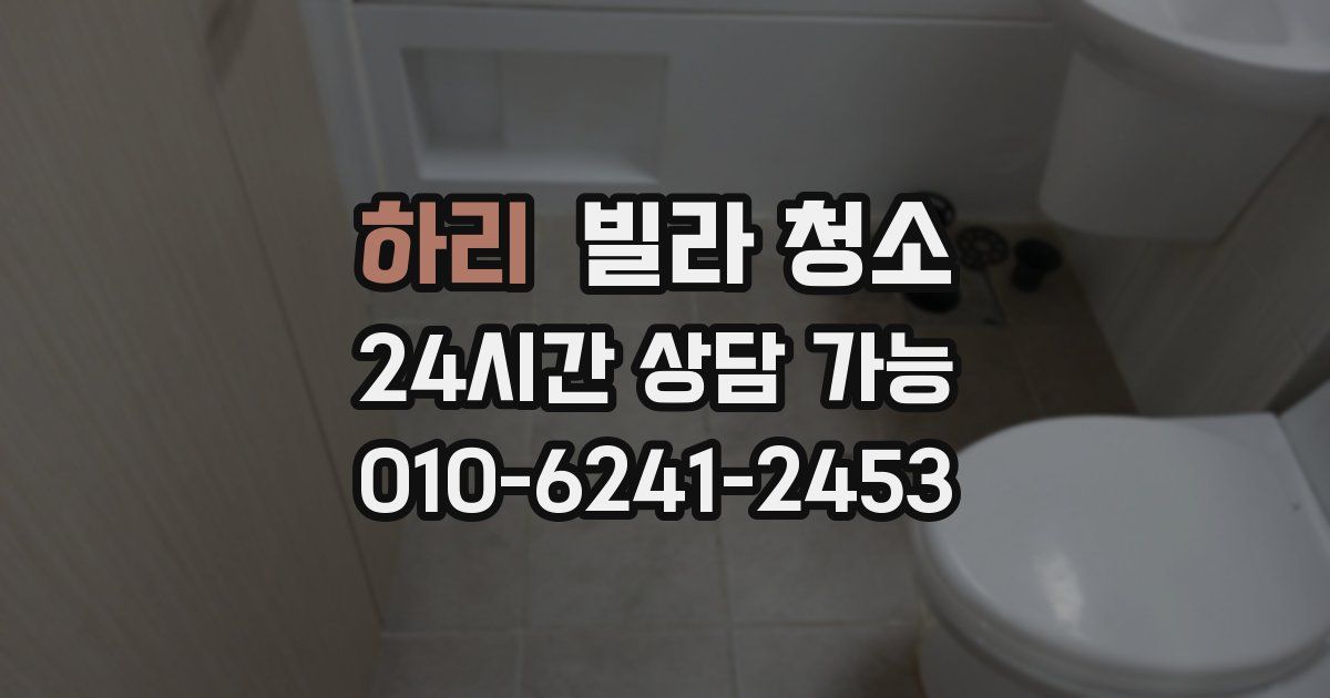 하리 빌라 청소