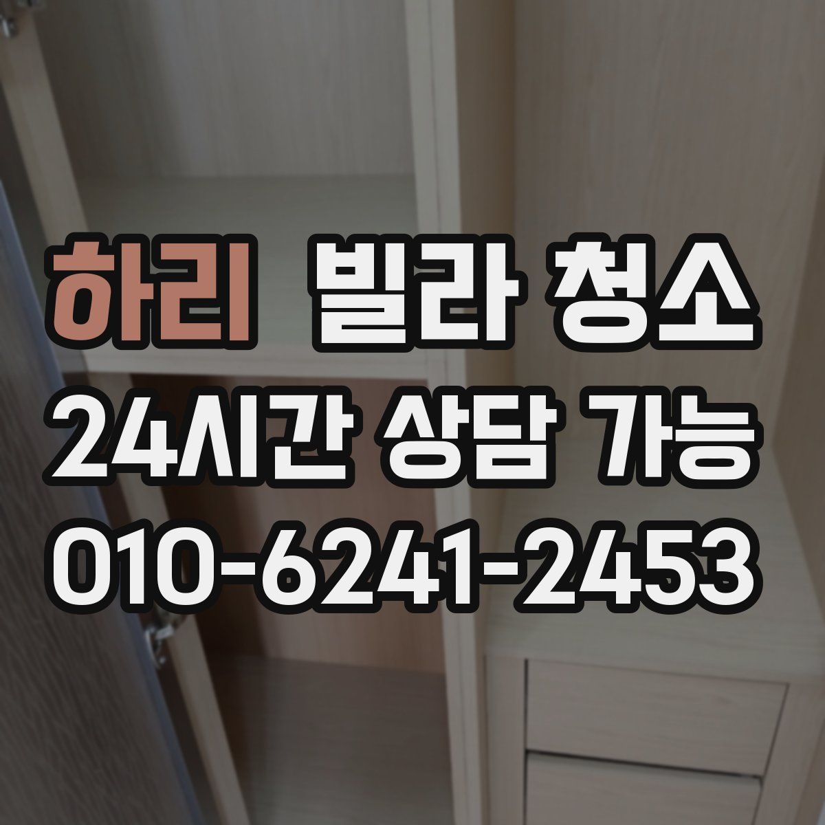 하리 빌라 청소