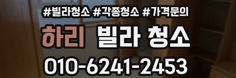 하리 빌라 청소