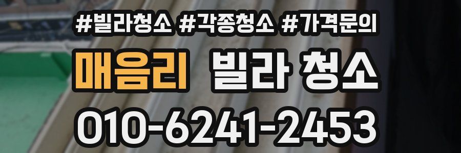 매음리 빌라 청소