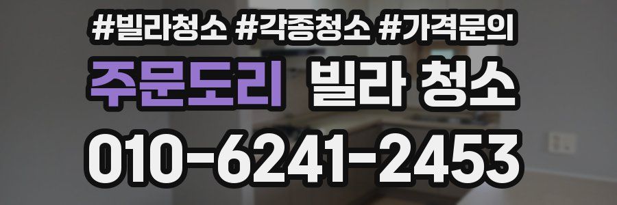 주문도리 빌라 청소