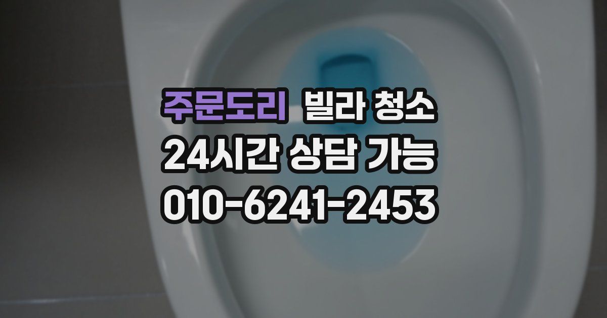 주문도리 빌라 청소