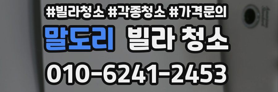 말도리 빌라 청소