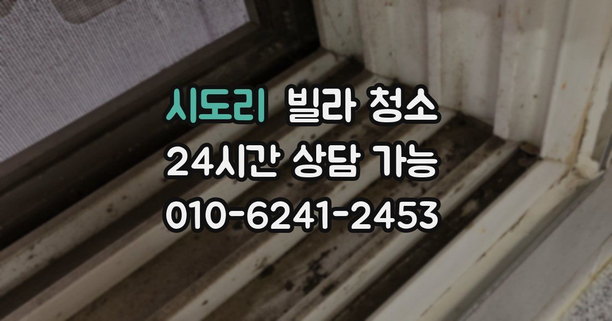 시도리 빌라 청소