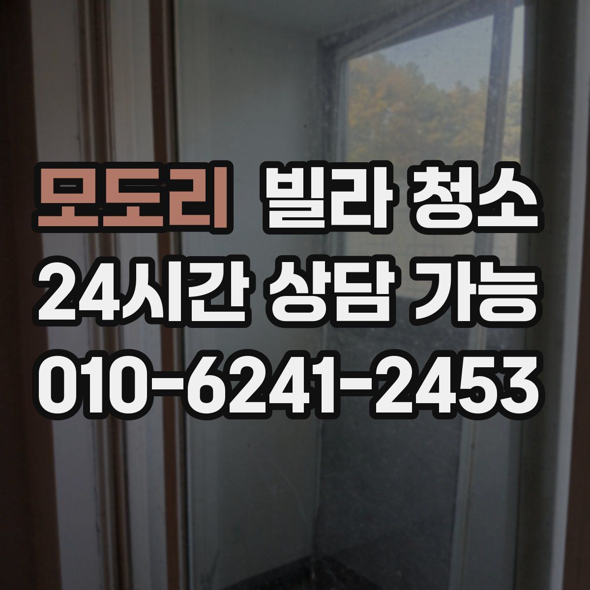 모도리 빌라 청소