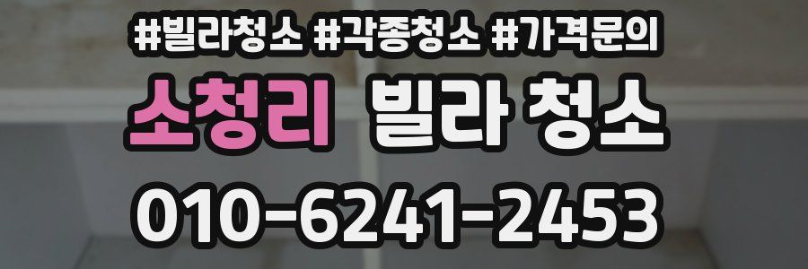 소청리 빌라 청소