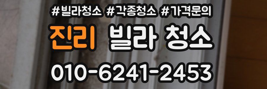 진리 빌라 청소