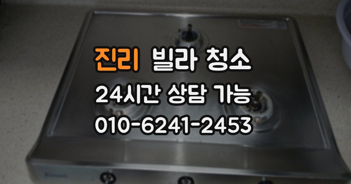 진리 빌라 청소