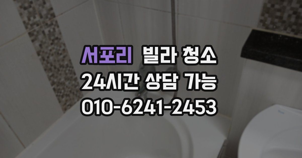 서포리 빌라 청소