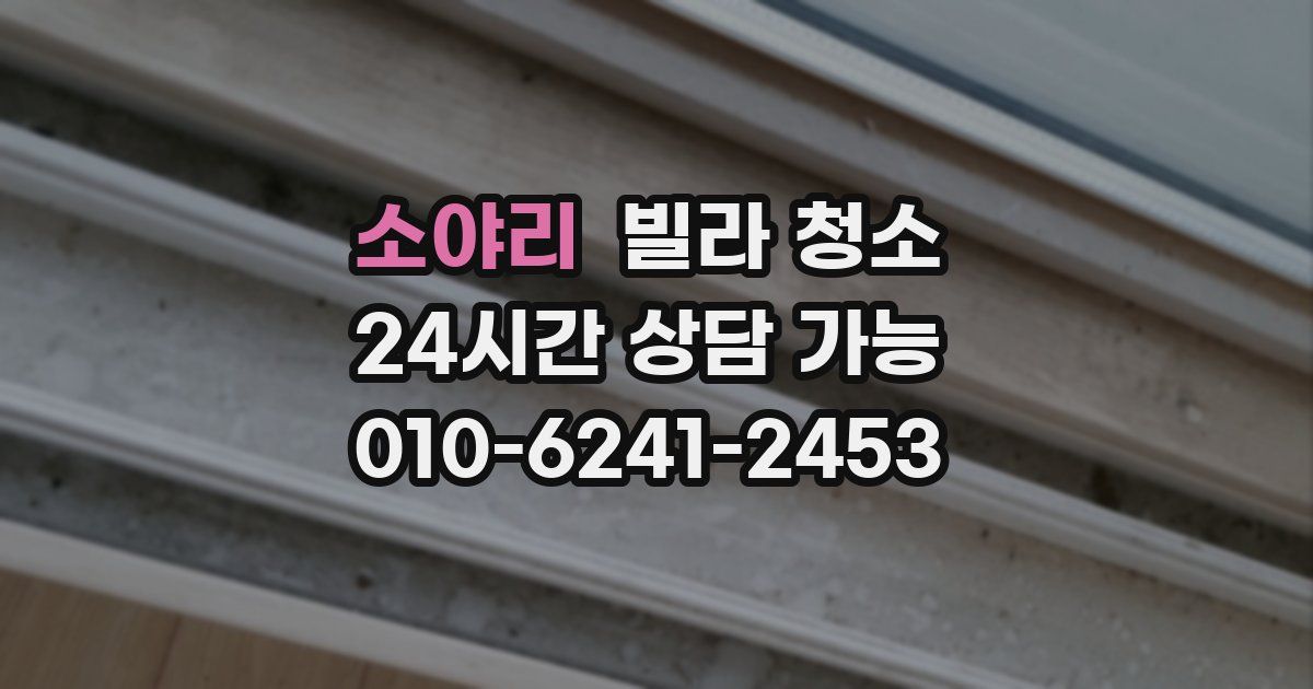 소야리 빌라 청소