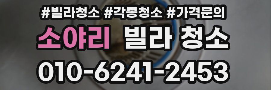 소야리 빌라 청소