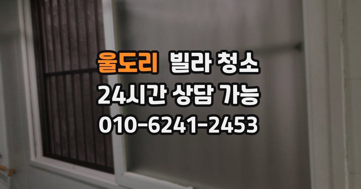 울도리 빌라 청소