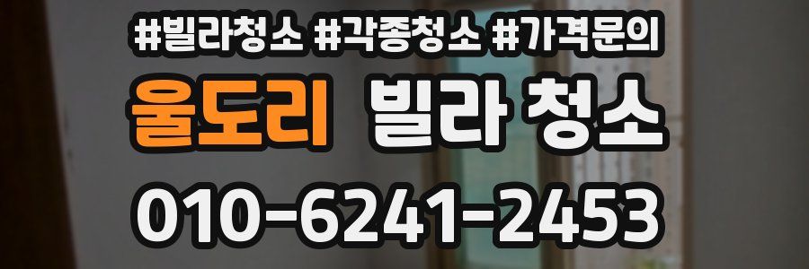 울도리 빌라 청소