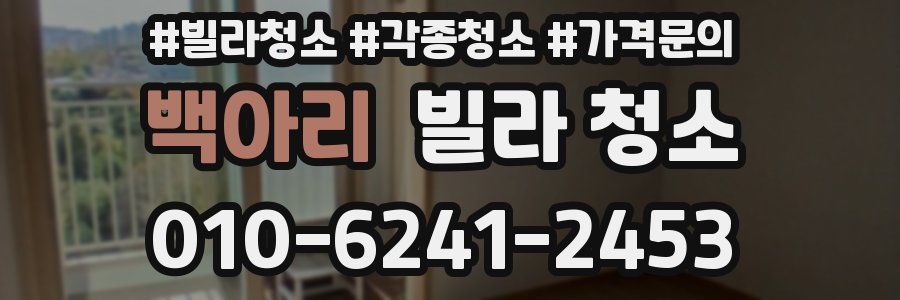 백아리 빌라 청소