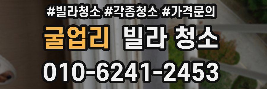 굴업리 빌라 청소
