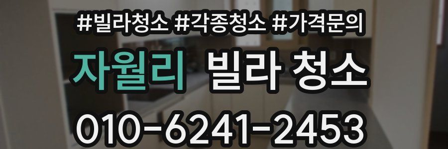 자월리 빌라 청소