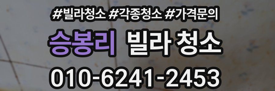 승봉리 빌라 청소