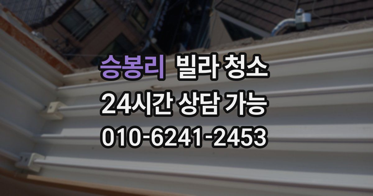 승봉리 빌라 청소