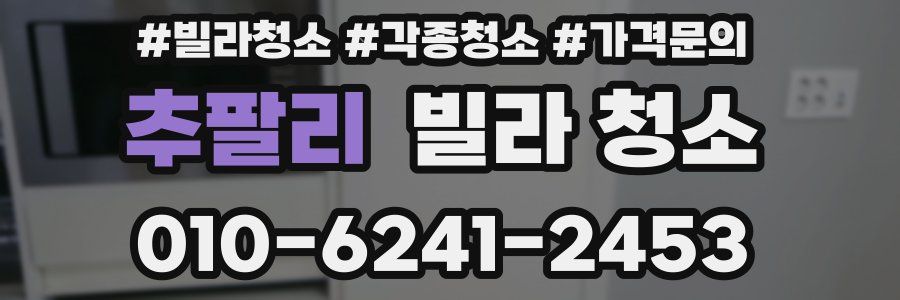 추팔리 빌라 청소