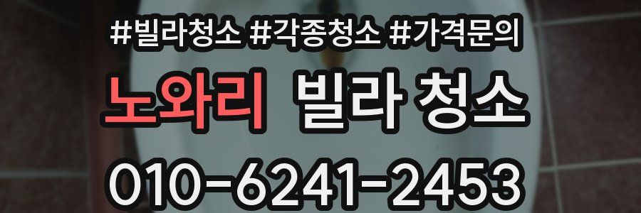 노와리 빌라 청소