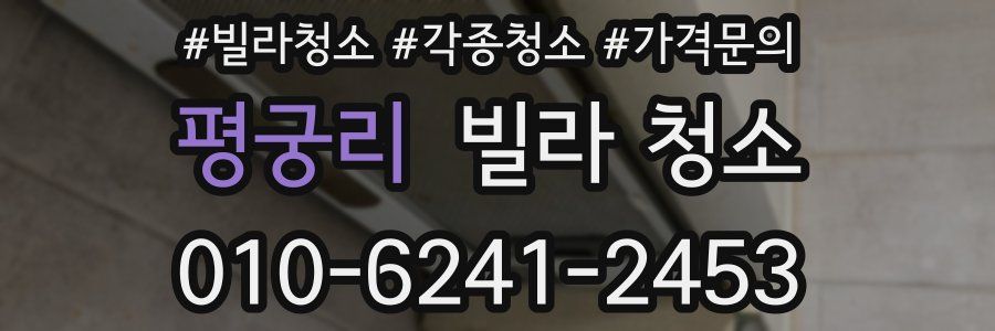 평궁리 빌라 청소