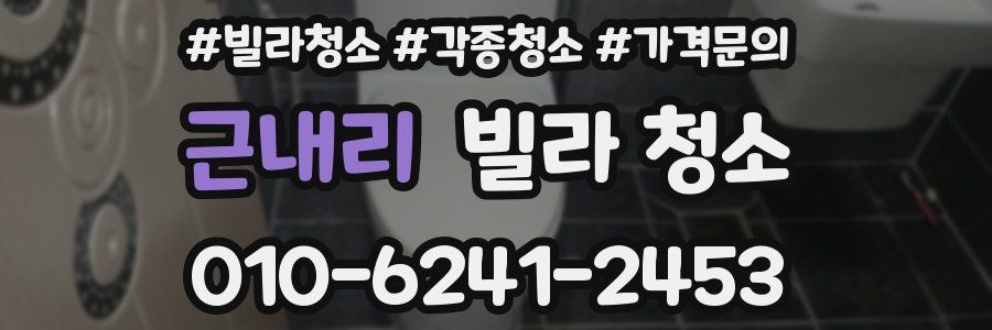 근내리 빌라 청소