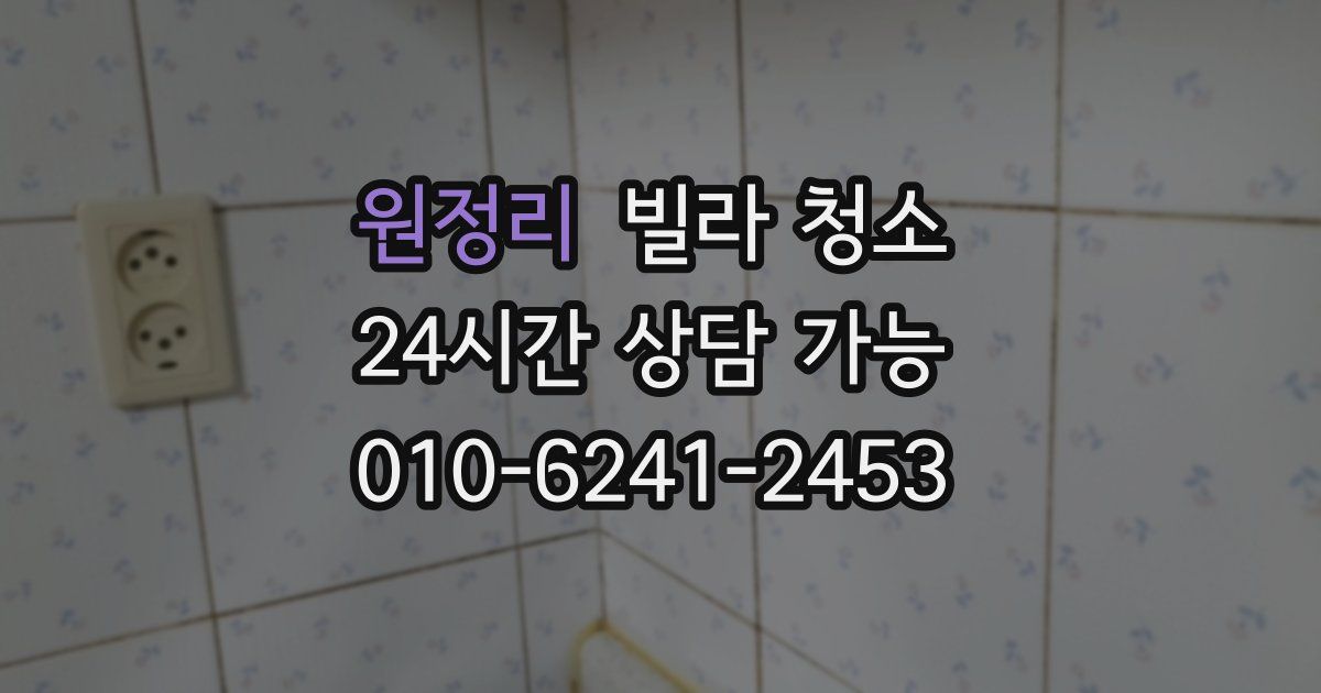 원정리 빌라 청소